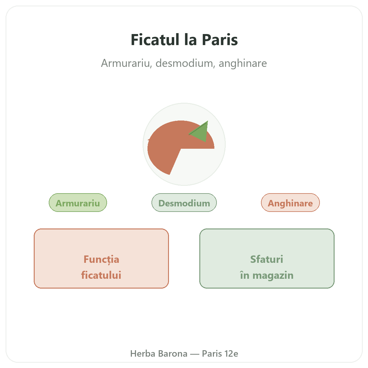 Suplimente pentru ficat la Paris - la Herba Barona Paris, arondismentul 12