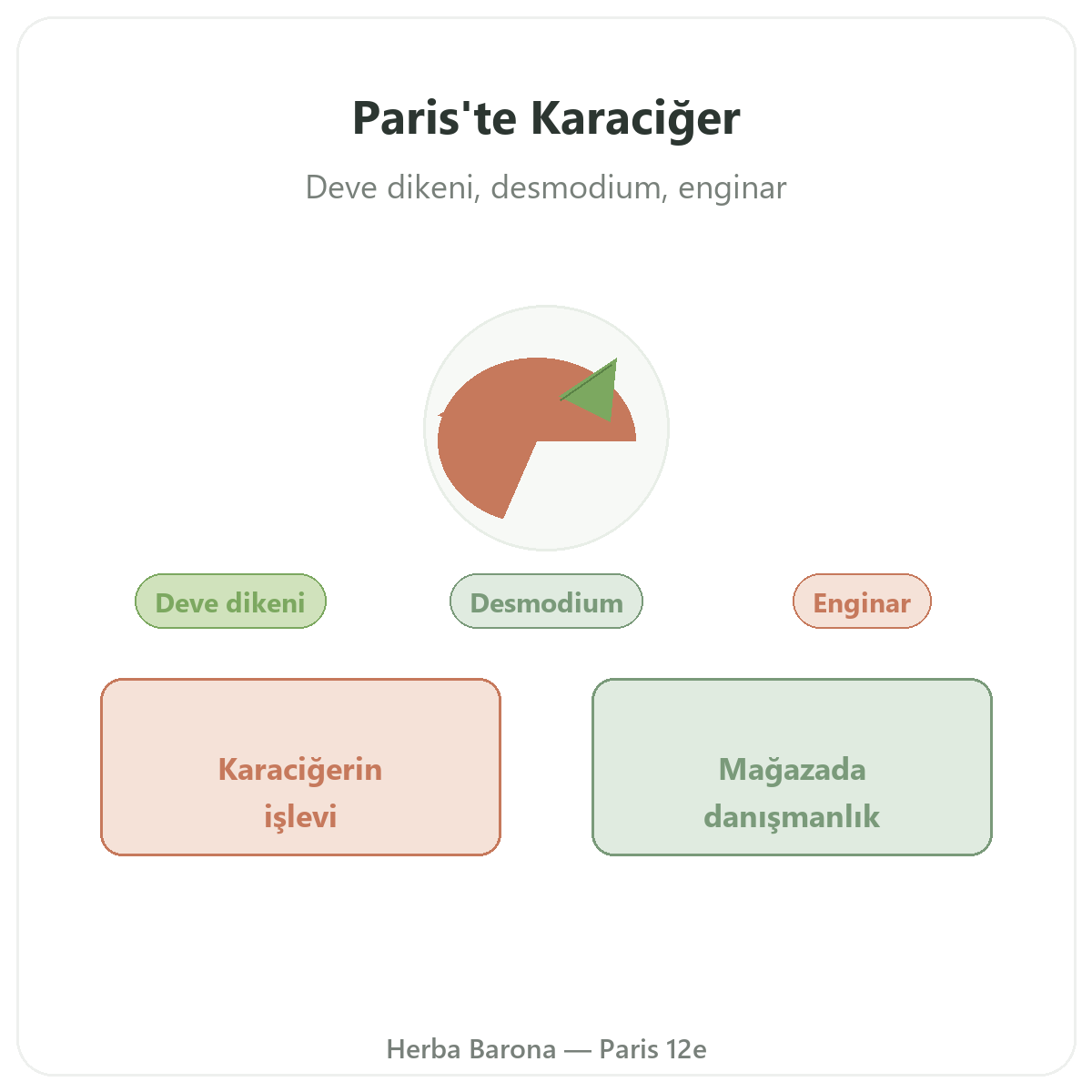 Paris’te karaciğer takviyeleri - Herba Barona Paris 12. bölge