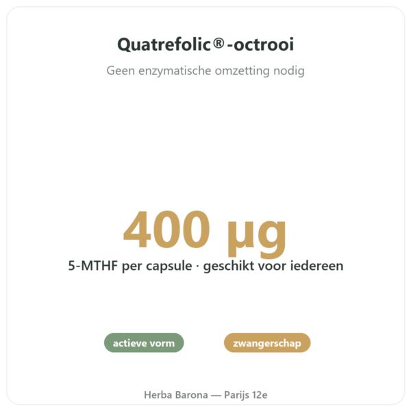 Foliumzuur vitamine B9 – Novoma voordelen en kerngegevens Paris Herba Barona