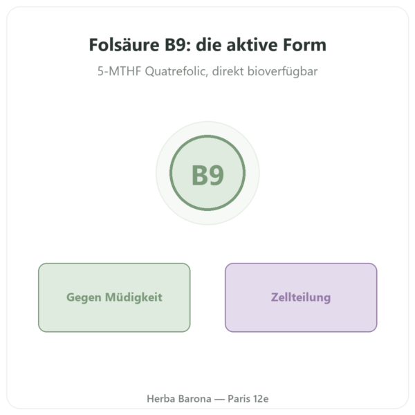 Folsäure Vitamin B9 Quatrefolic® – Novoma – 90 Kapseln Vorstellung Paris Herba Barona