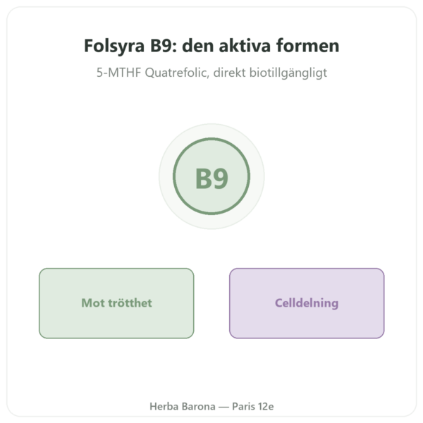 Folsyra vitamin B9 – Novoma presentation Paris Herba Barona