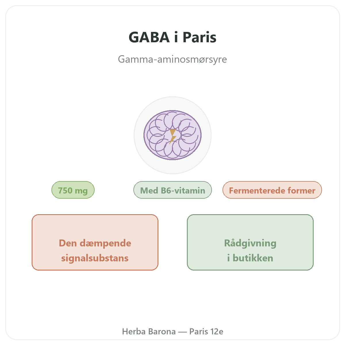 GABA Paris - præsentation hos Herba Barona Paris 12