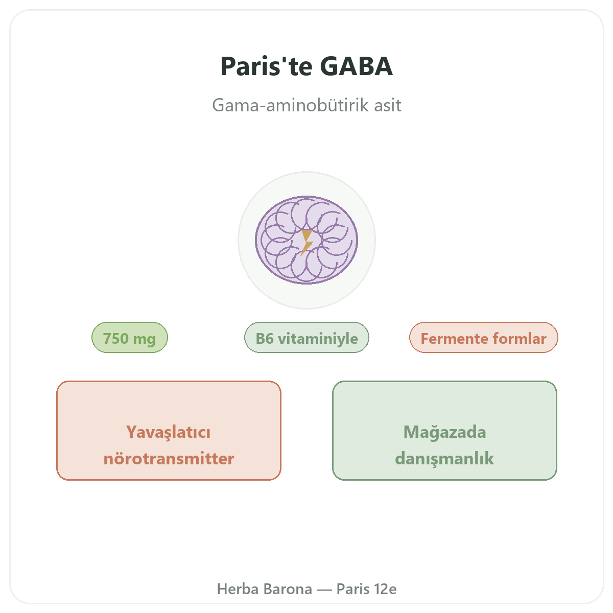Paris’te GABA - Herba Barona Paris 12. bölge tanıtımı