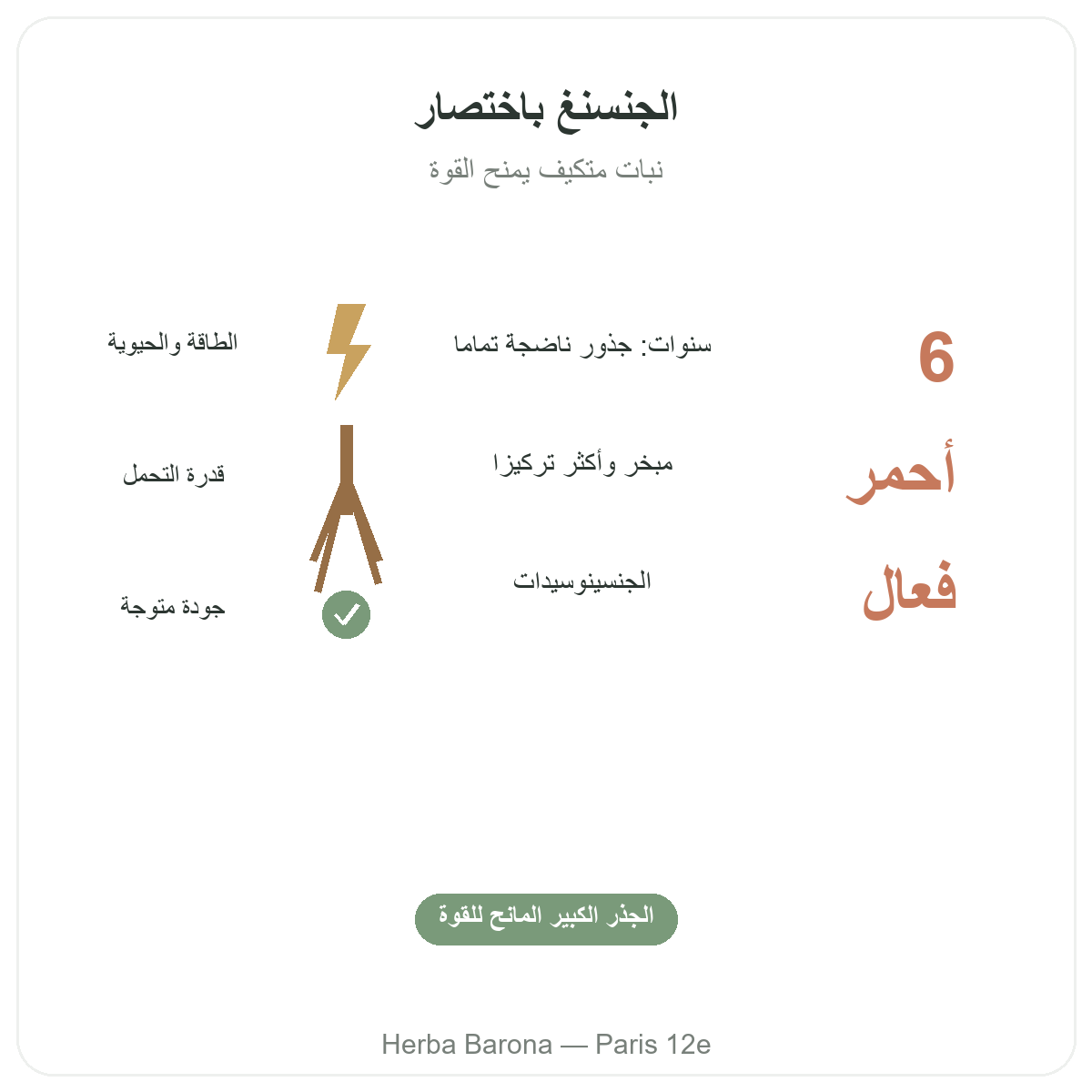 الجينسنغ في باريس بإيجاز - أرقام أساسية لدى Herba Barona باريس 12