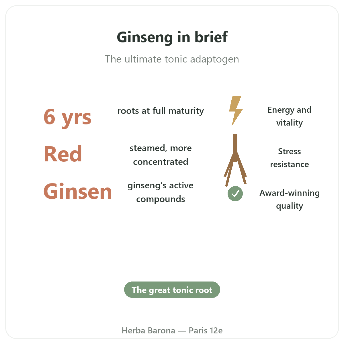 Ginseng coreen rouge Paris Paris en bref - chiffres cles chez Herba Barona Paris 12e