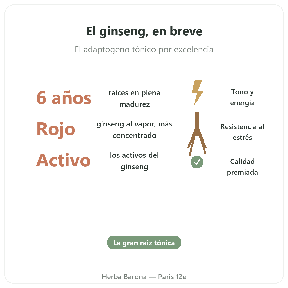 Ginseng rojo coreano París París en breve - cifras clave en Herba Barona París 12e