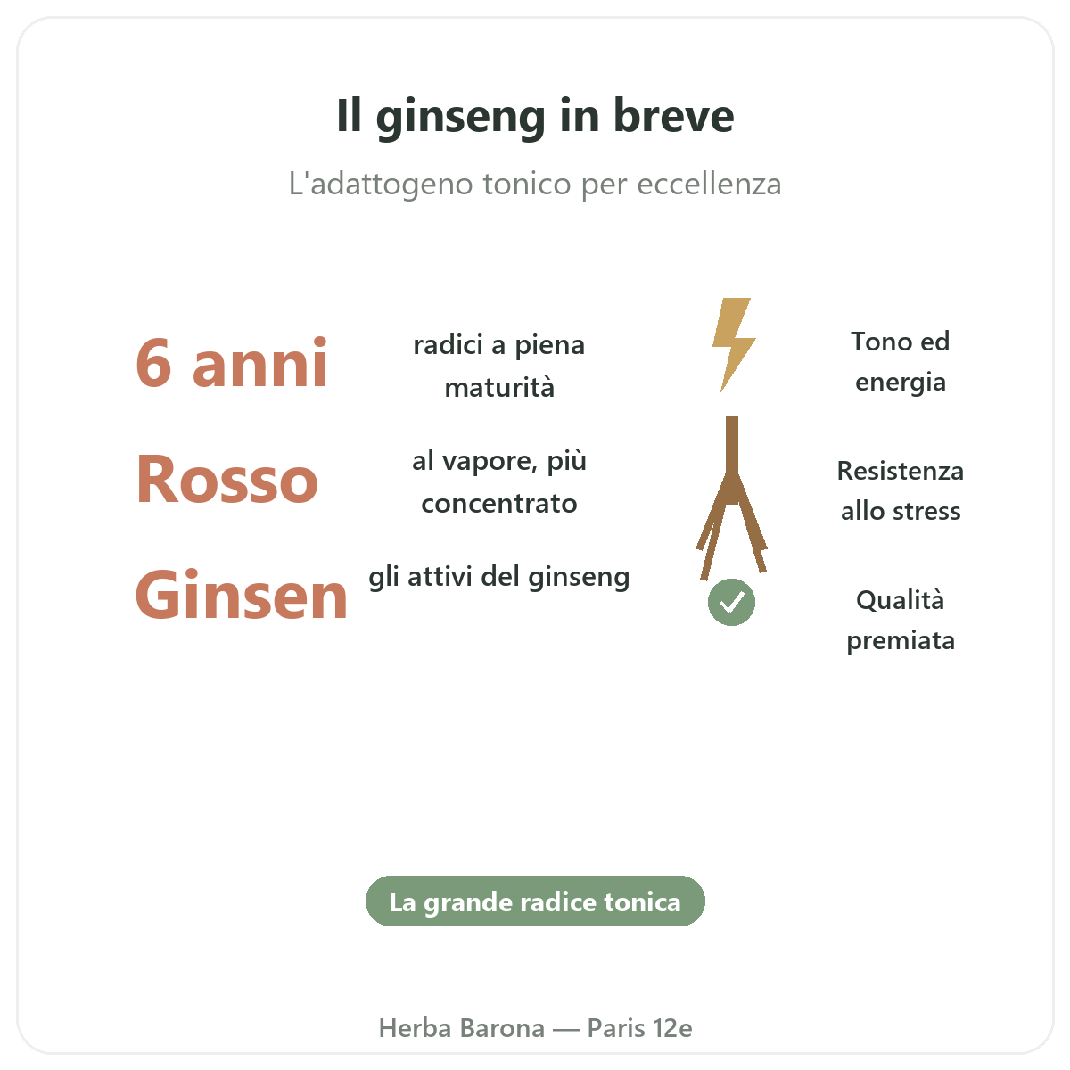 Ginseng coreano rosso Parigi in breve - dati chiave da Herba Barona Parigi 12e