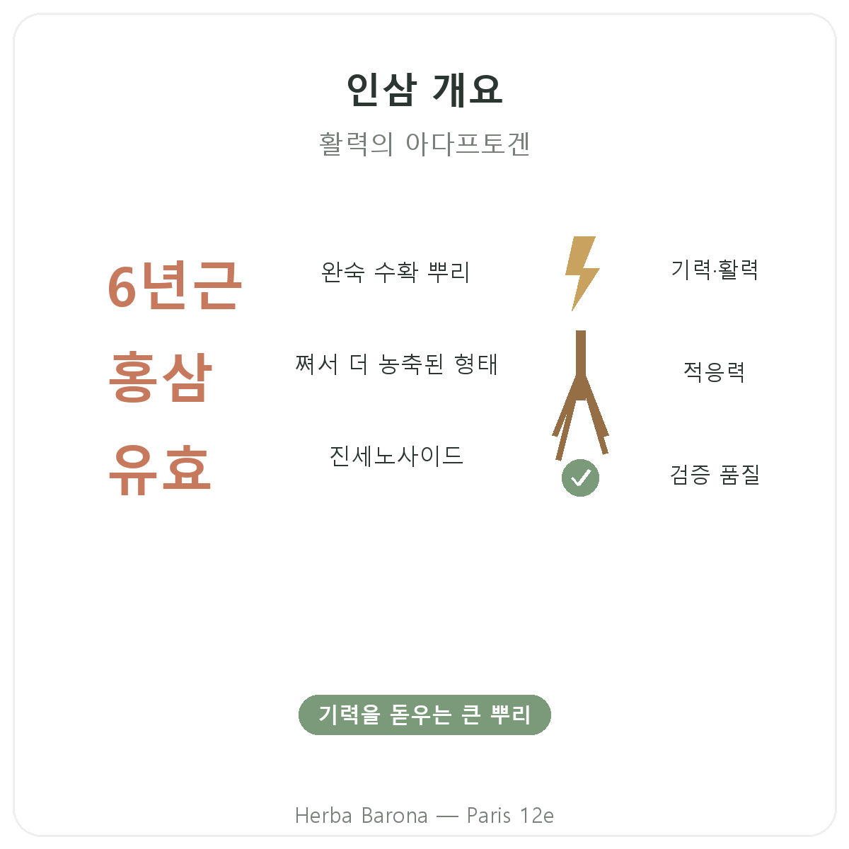 파리 홍삼 한눈에 보기 - Herba Barona 파리 12구 주요 정보