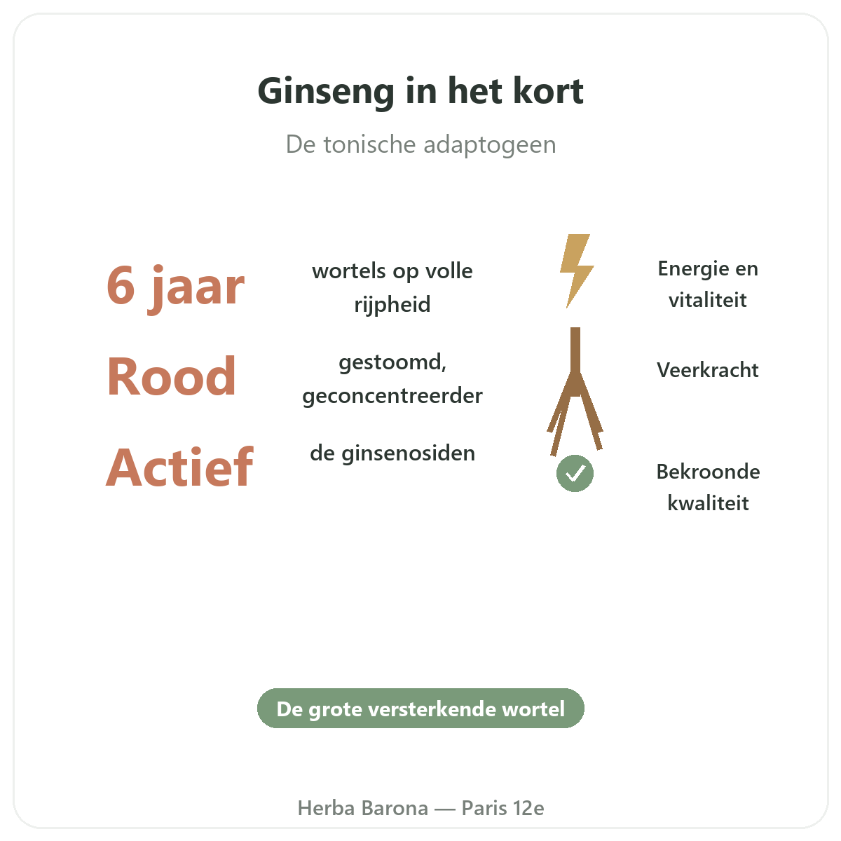 Rode Koreaanse ginseng in Parijs in het kort - kerncijfers bij Herba Barona Parijs 12e