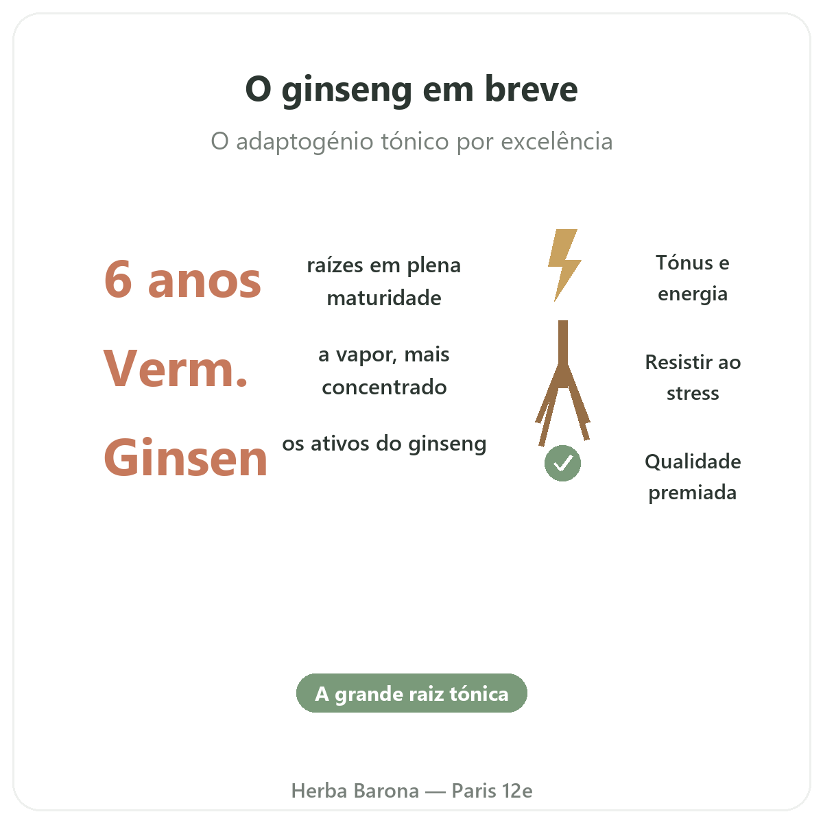 Ginseng coreano vermelho Paris em resumo - números-chave na Herba Barona Paris 12e