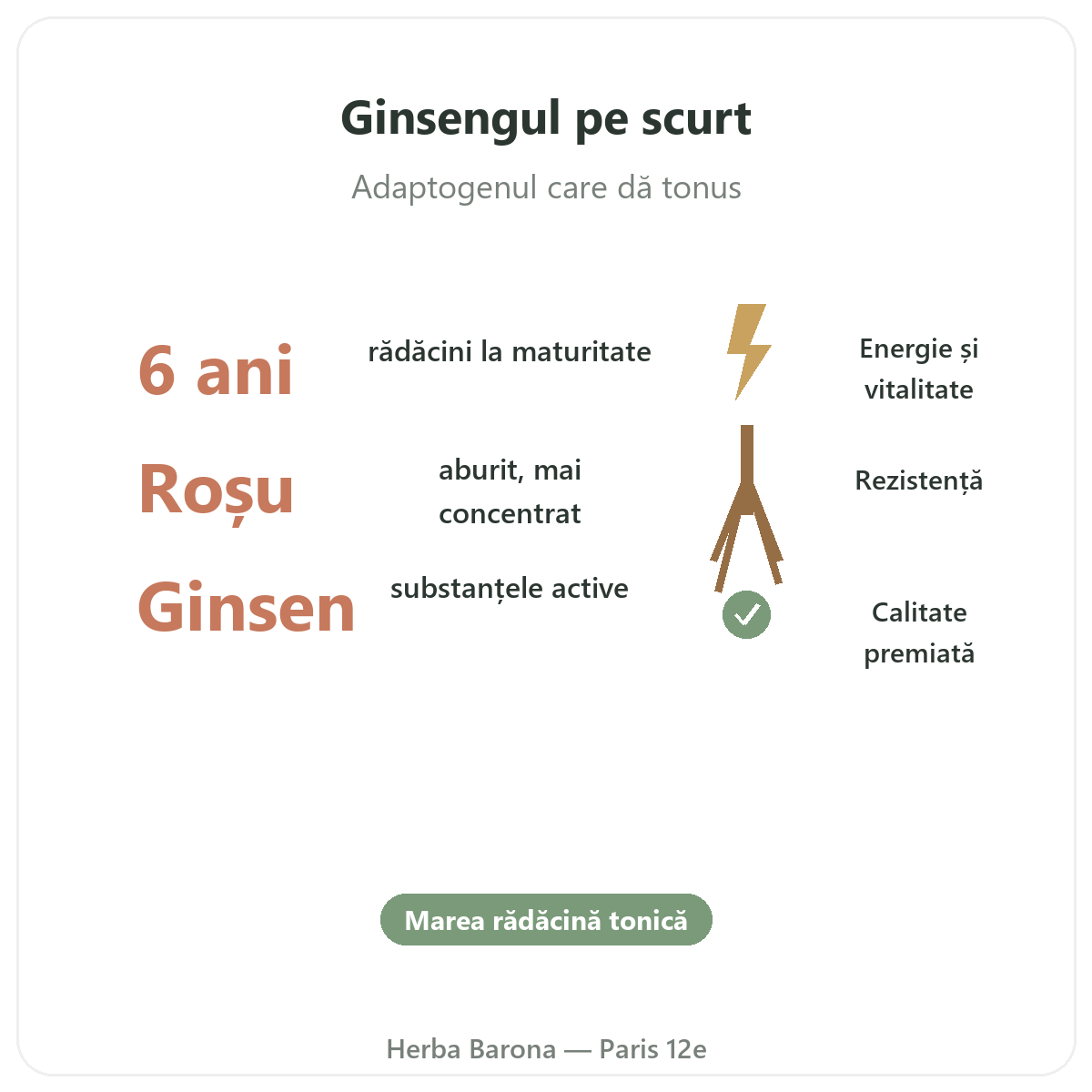 Ginseng roșu coreean Paris pe scurt - cifre cheie la Herba Barona Paris, arondismentul 12