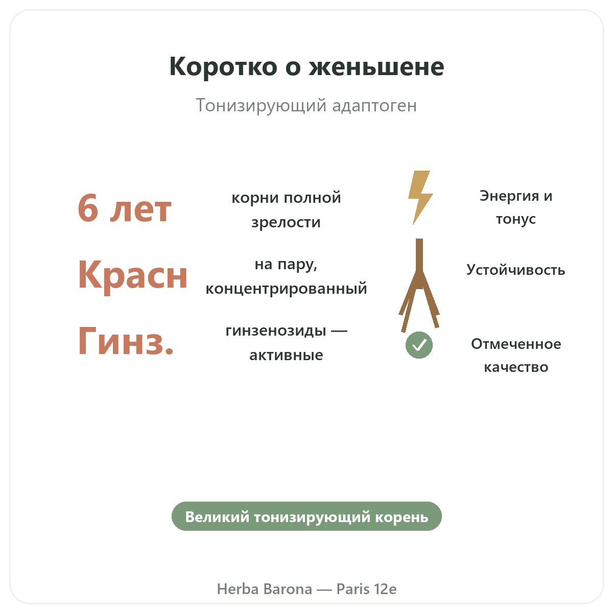 Красный корейский женьшень в Париже вкратце — ключевые цифры, Herba Barona, Париж, 12-й округ