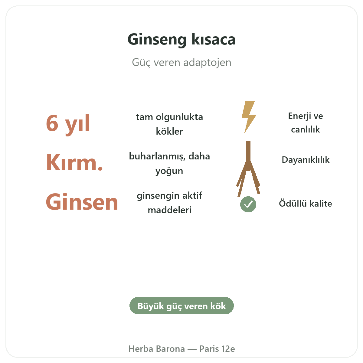Paris’te kırmızı Kore ginsengi kısaca - Herba Barona Paris 12. bölge’de öne çıkan rakamlar