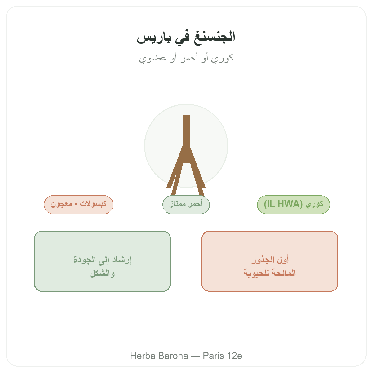 الجينسنغ في باريس - تقديم العلامة لدى Herba Barona باريس 12