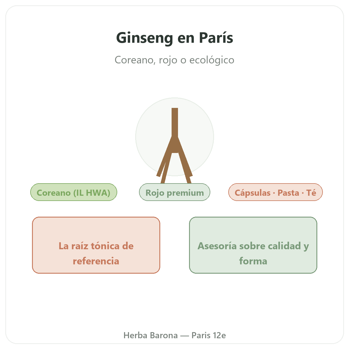 Ginseng rojo coreano París París - presentación de la marca en Herba Barona París 12e