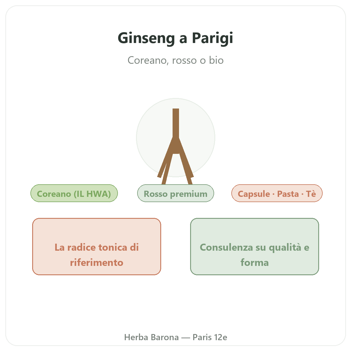 Ginseng coreano rosso Parigi - presentazione del marchio da Herba Barona Parigi 12e
