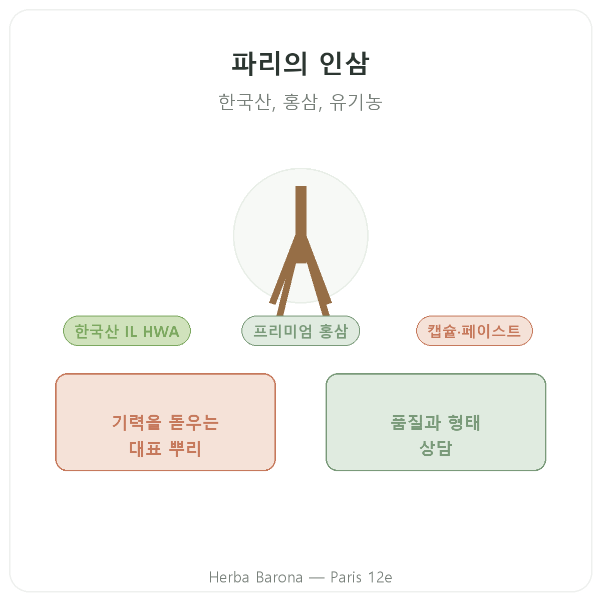 파리 홍삼 - Herba Barona 파리 12구 브랜드 소개