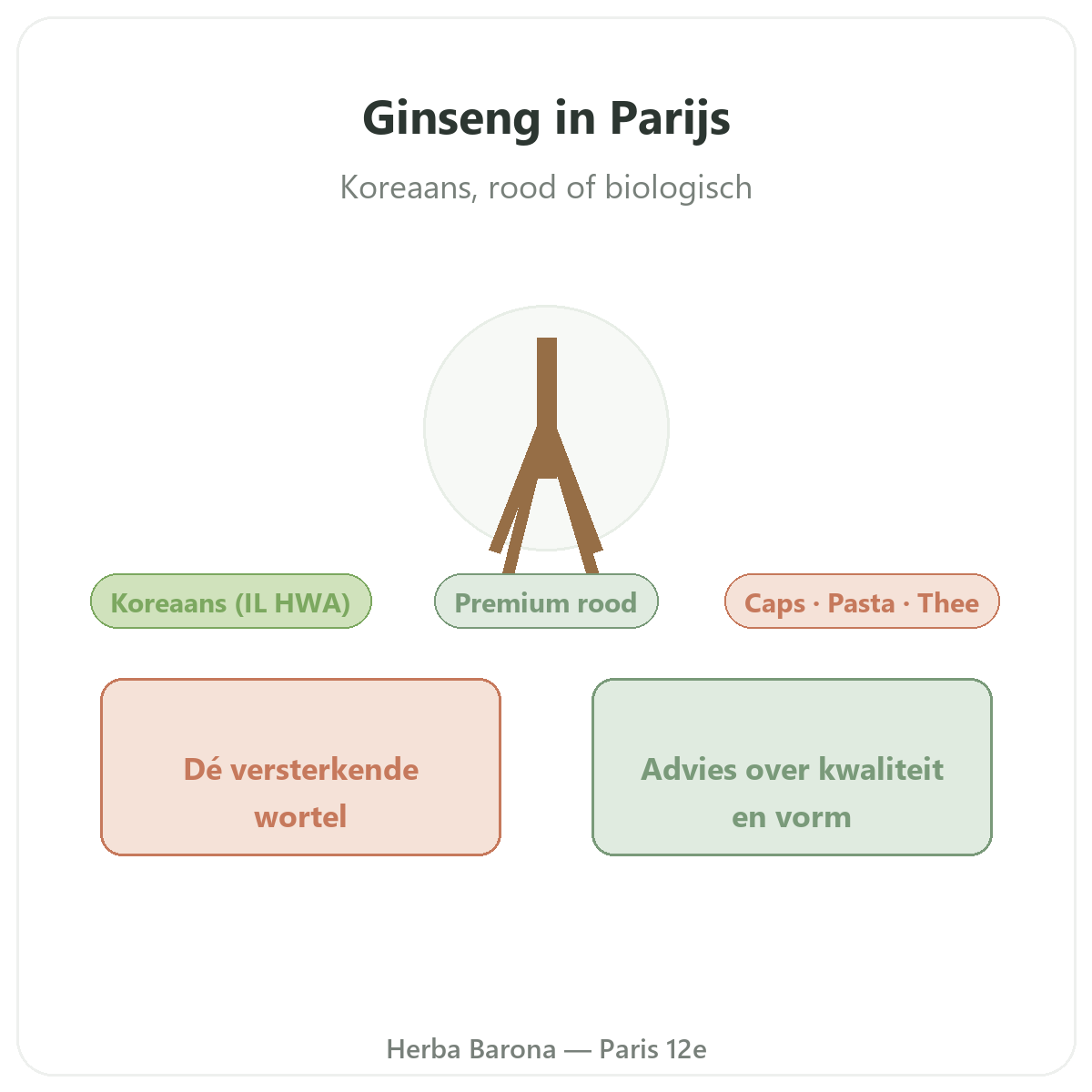 Rode Koreaanse ginseng in Parijs - presentatie van het merk bij Herba Barona Parijs 12e