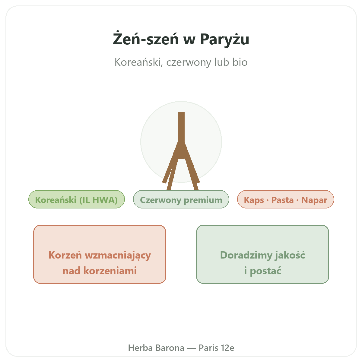 Czerwony koreański żeń-szeń — prezentacja marki w Herba Barona