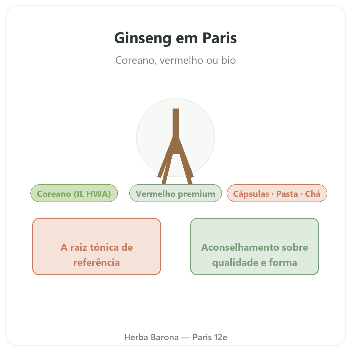 Ginseng coreano vermelho Paris - apresentação da marca na Herba Barona Paris 12e