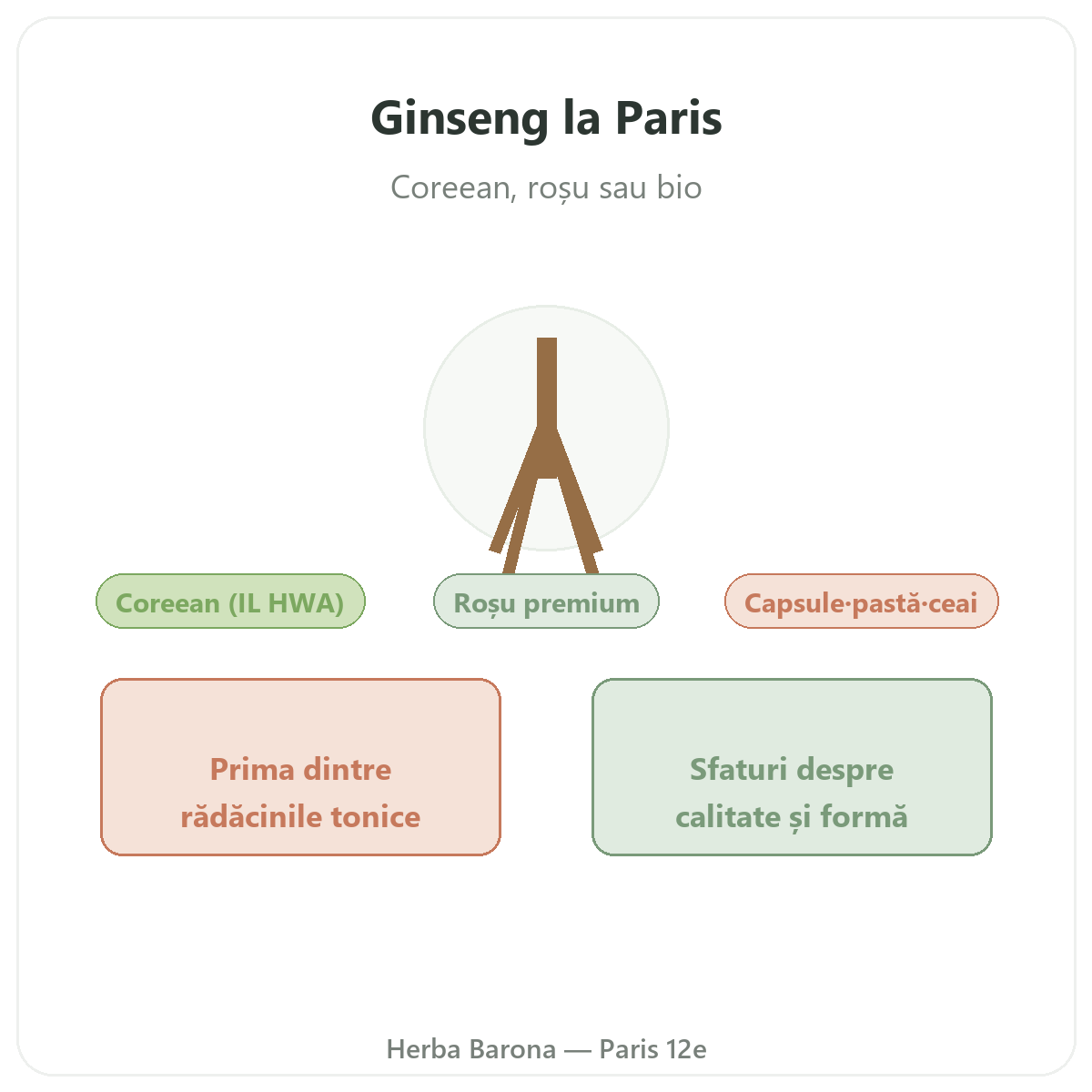 Ginseng roșu coreean Paris - prezentarea mărcii la Herba Barona Paris, arondismentul 12