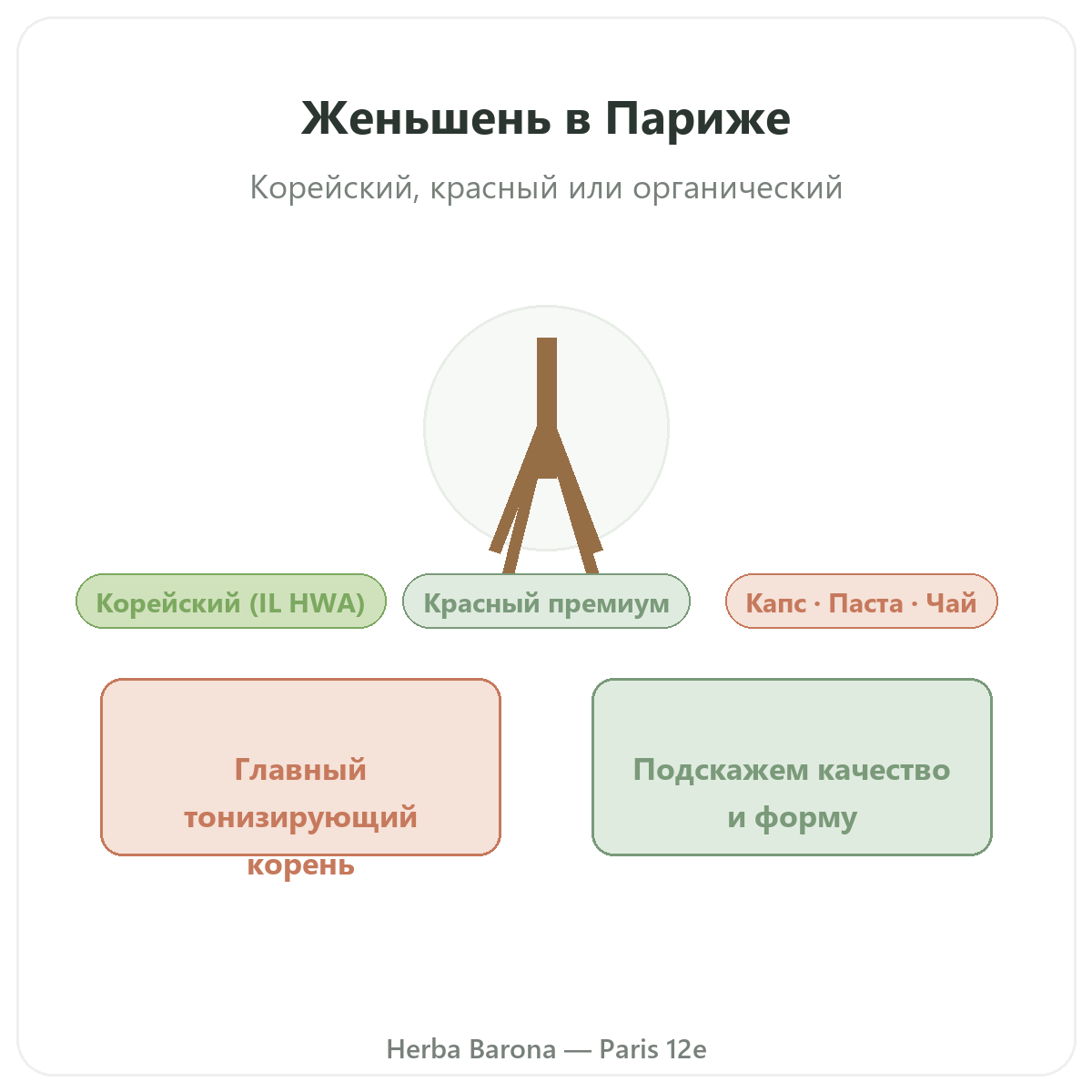 Красный корейский женьшень в Париже — презентация марки, Herba Barona, Париж, 12-й округ