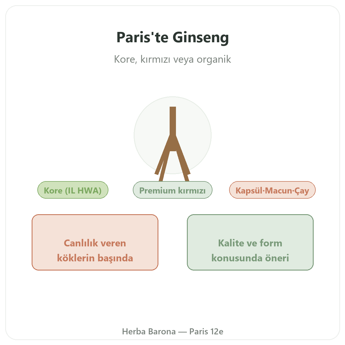 Paris’te kırmızı Kore ginsengi - Herba Barona Paris 12. bölge’de marka tanıtımı