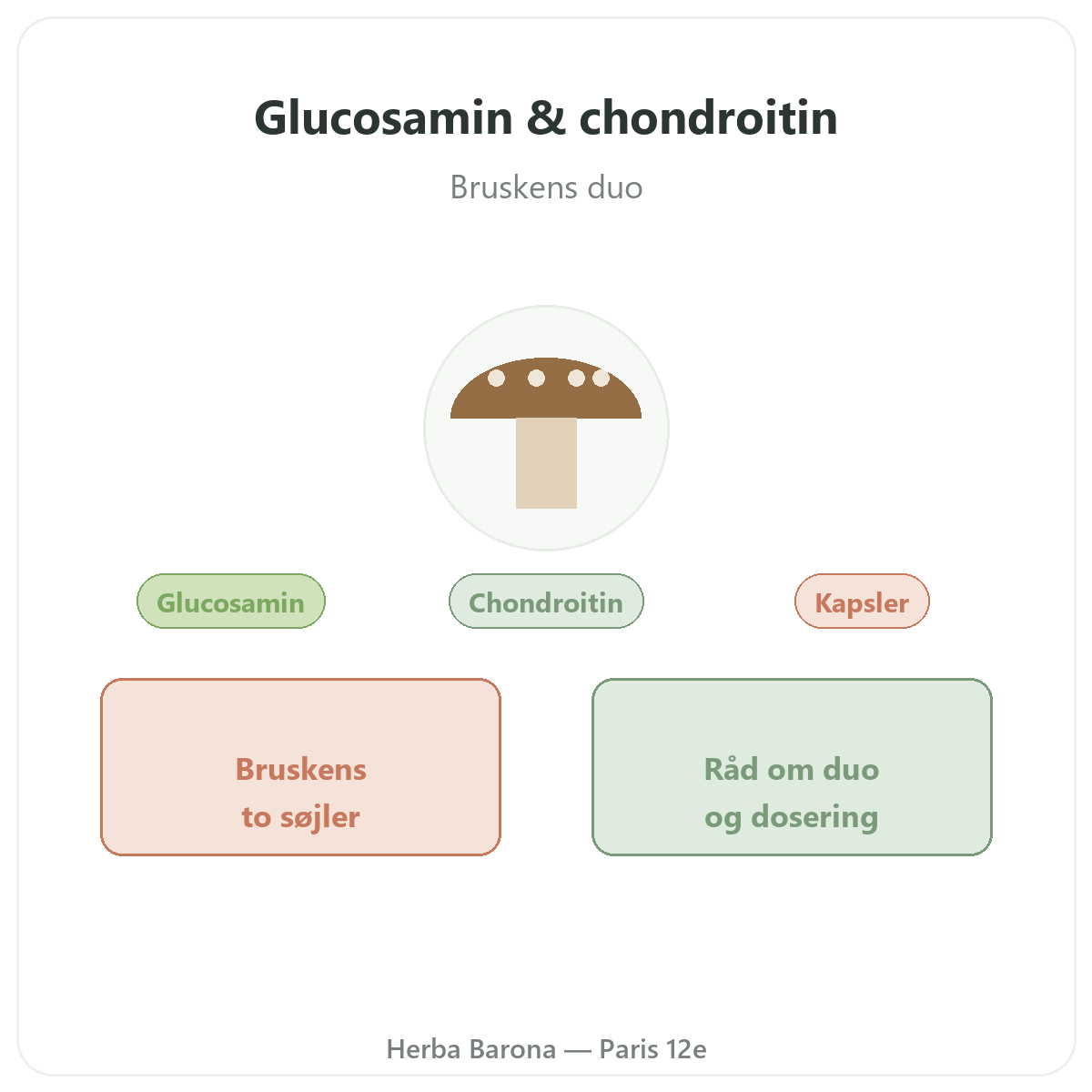 Glukosamin chondroitin Paris - præsentation af mærket hos Herba Barona Paris 12