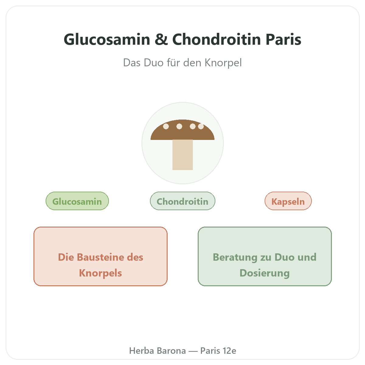 Glucosamin Chondroitin Paris - Markenvorstellung bei Herba Barona Paris 12e