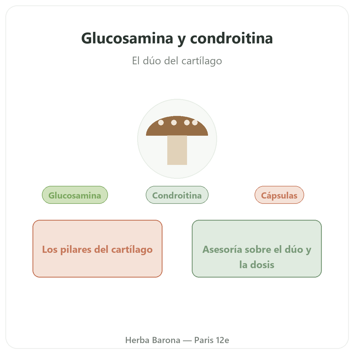 Glucosamina condroitina París - presentación de la marca en Herba Barona París 12e