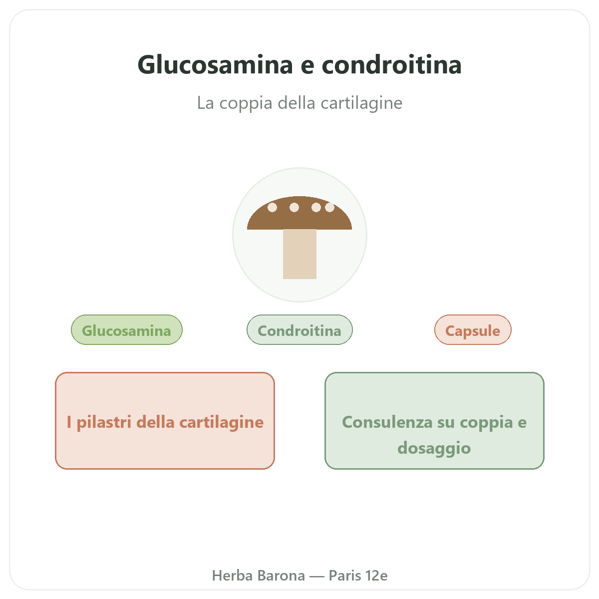 Glucosamina condroitina Paris Paris - presentazione del marchio da Herba Barona Paris 12e