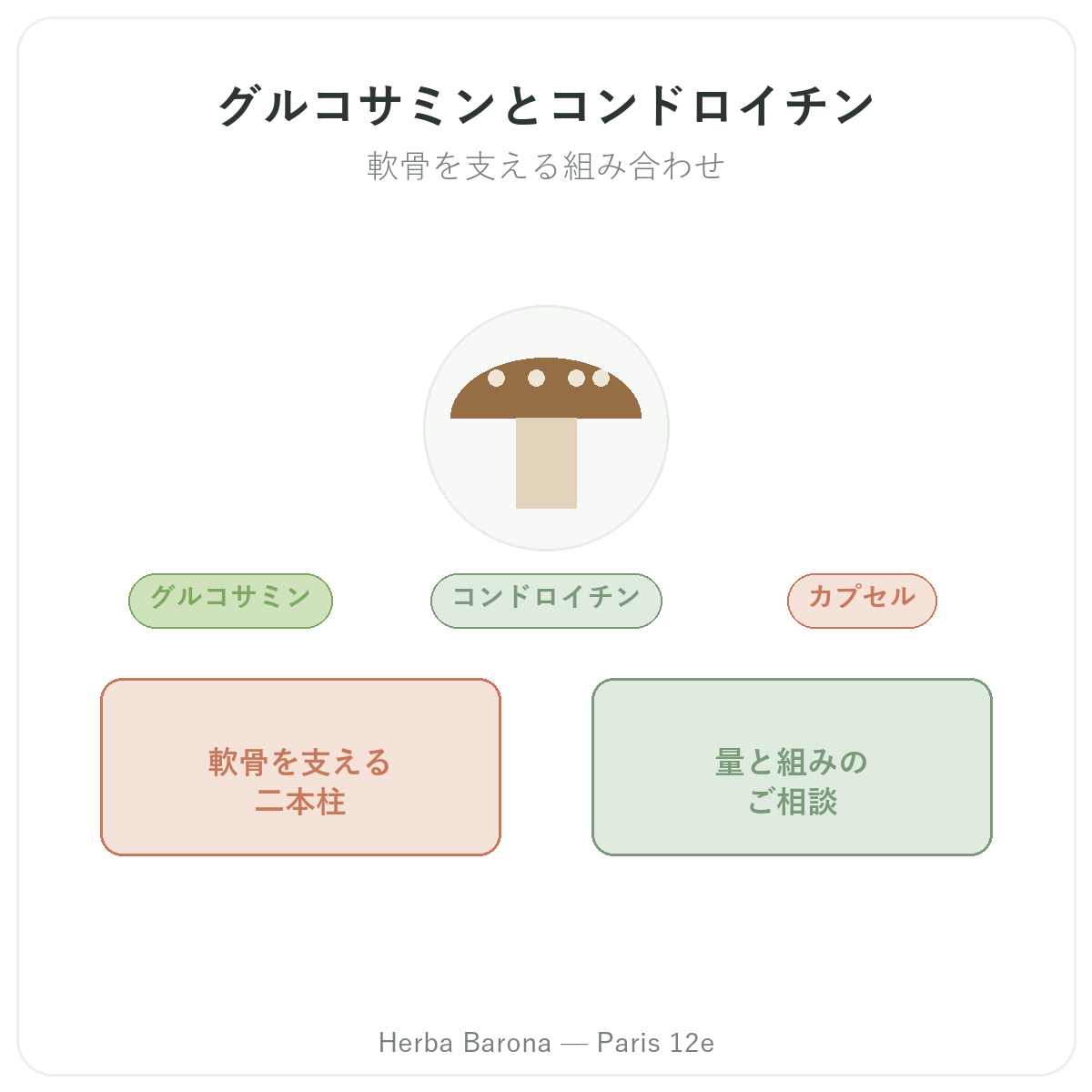 グルコサミン コンドロイチン パリ - Herba Baronaのブランド紹介 パリ12区