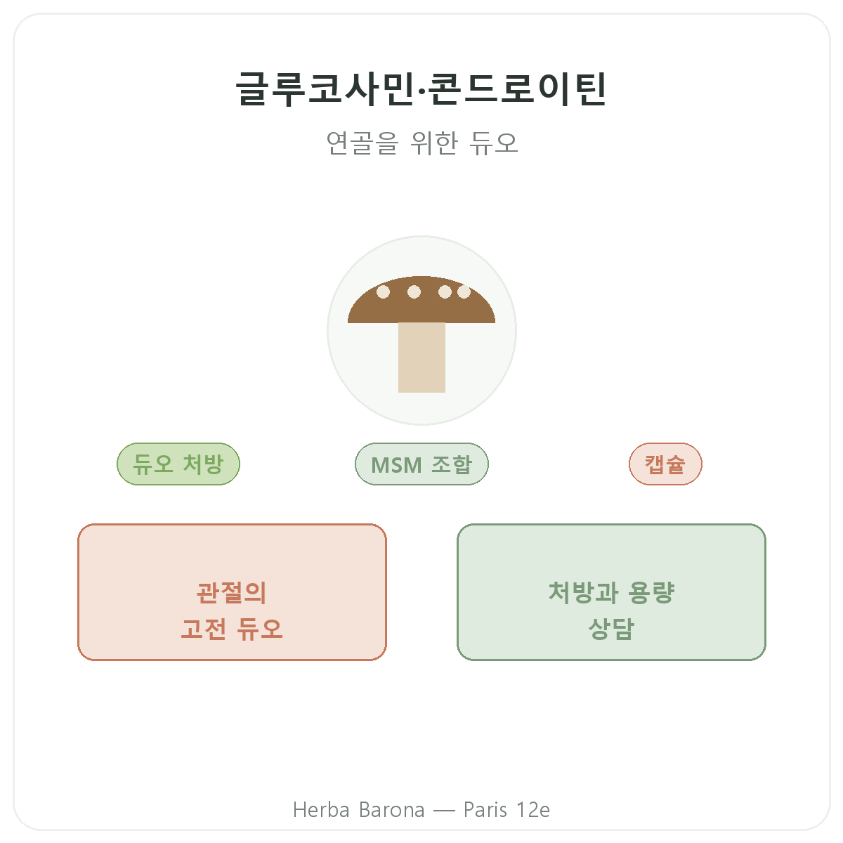 파리 글루코사민 콘드로이친 - Herba Barona 파리 12구 브랜드 소개