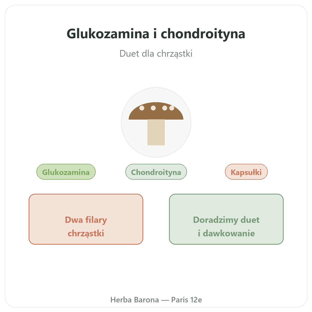 Glukozamina i chondroityna - prezentacja produktu w Herba Barona, dostępne z wysyłką do Polski