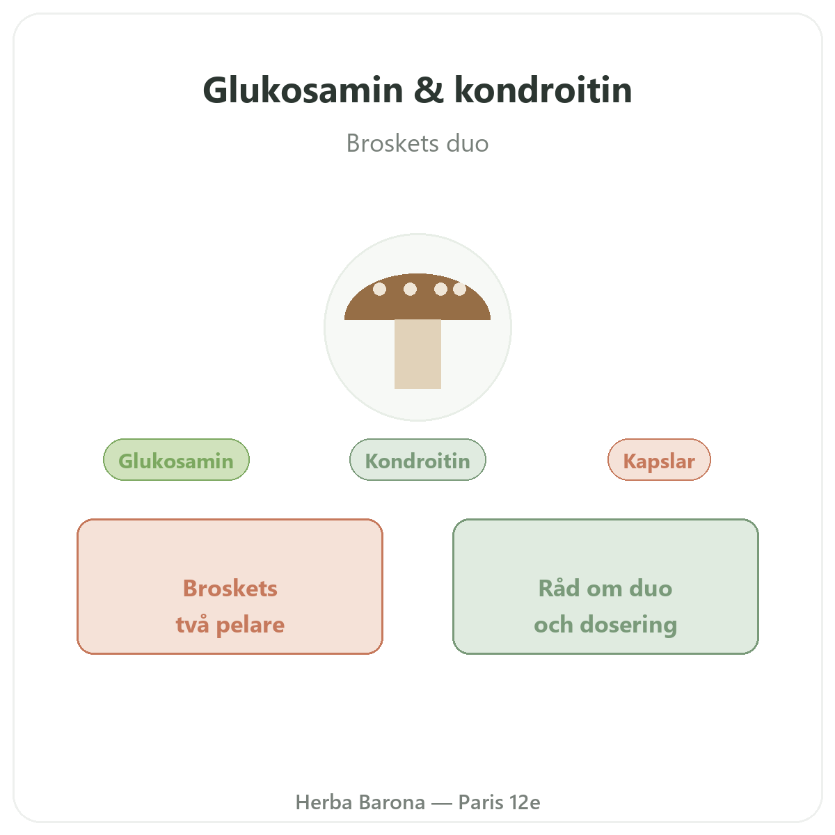 Glukosamin och kondroitin i Paris – presentation av varumärket hos Herba Barona Paris 12e