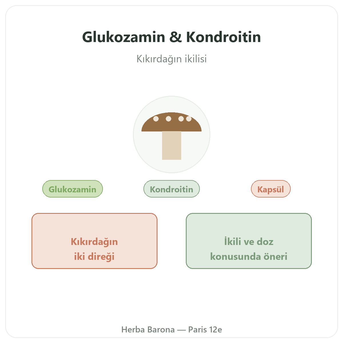 Paris’te glukozamin kondroitin - Herba Barona Paris 12. bölge’de marka tanıtımı