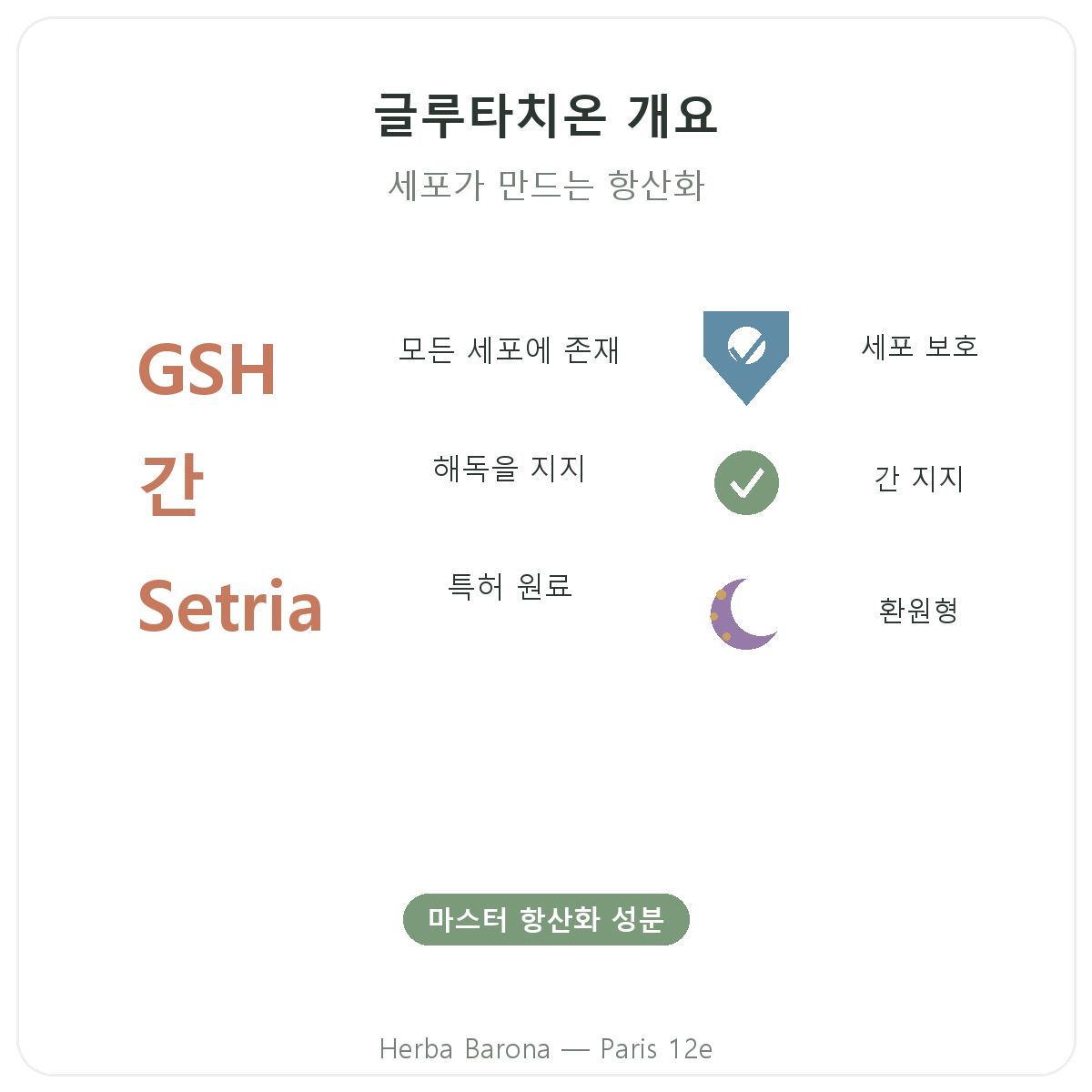 글루타치온 파리 요약 - Herba Barona 파리 12구 주요 수치