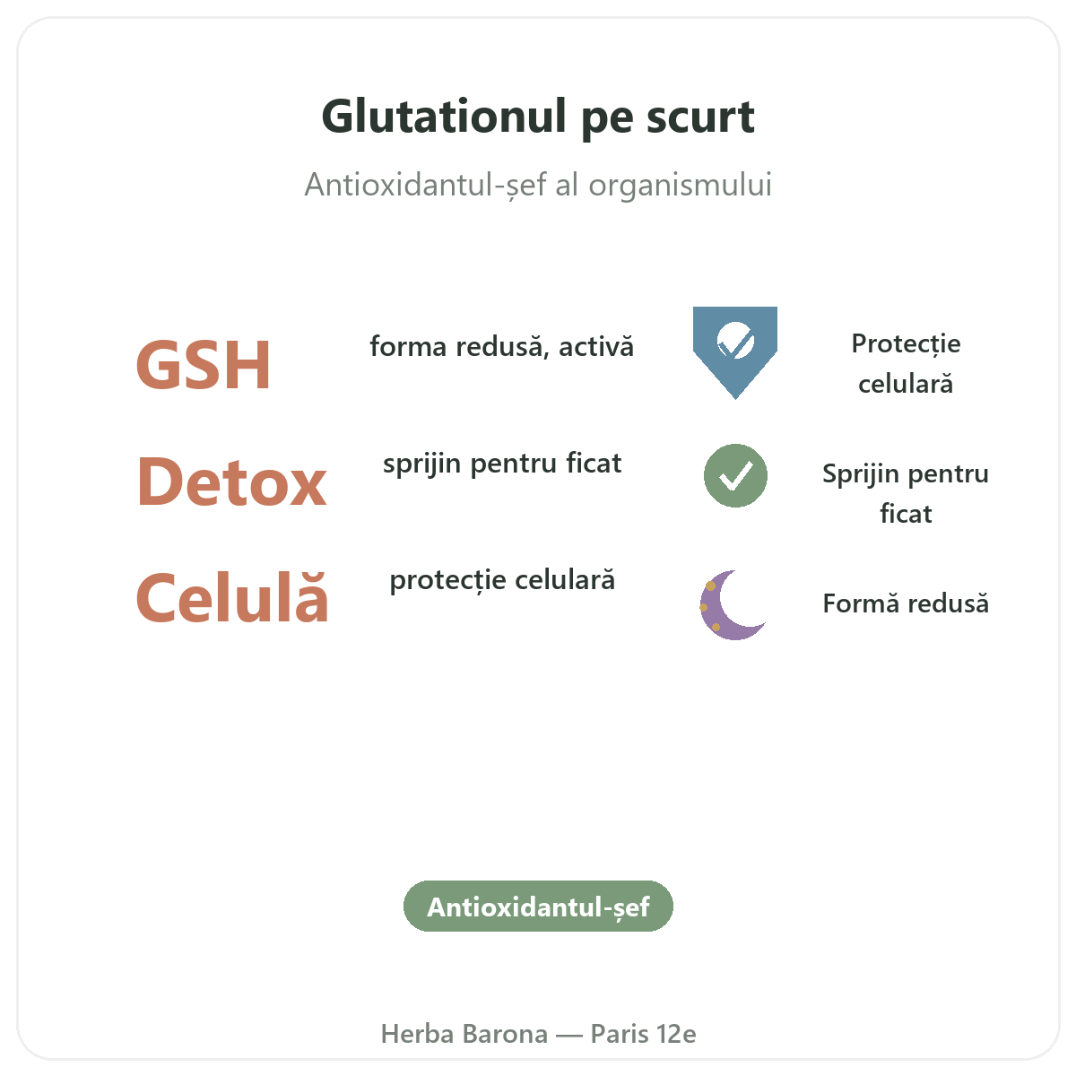Glutation Paris pe scurt - cifre cheie la Herba Barona Paris, arondismentul 12