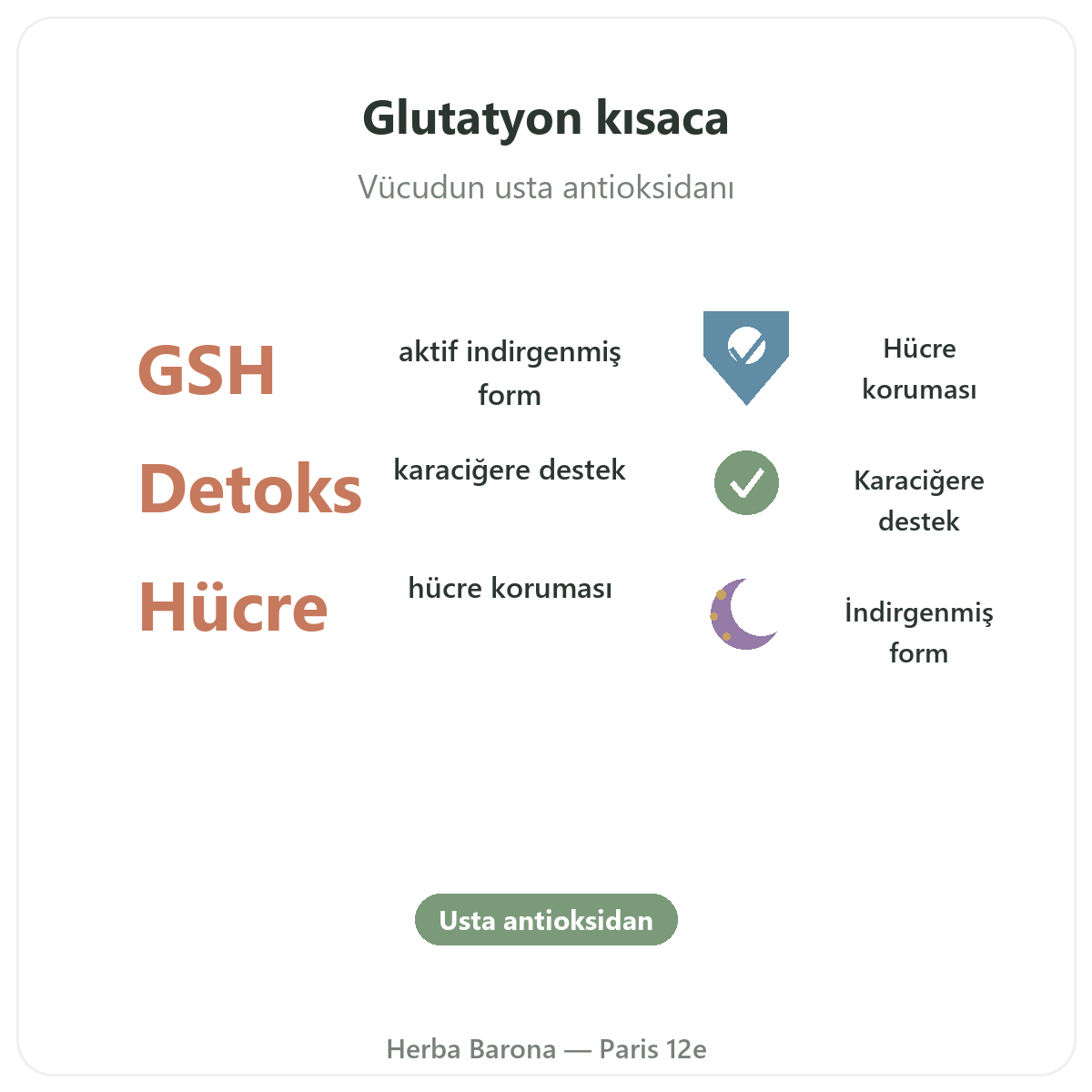Paris’te glutatyon kısaca - Herba Barona Paris 12. bölge’de öne çıkan rakamlar