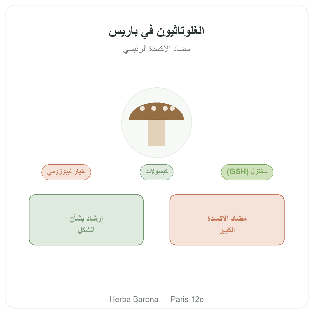 الغلوتاثيون في باريس - تقديم العلامة لدى Herba Barona باريس المقاطعة 12