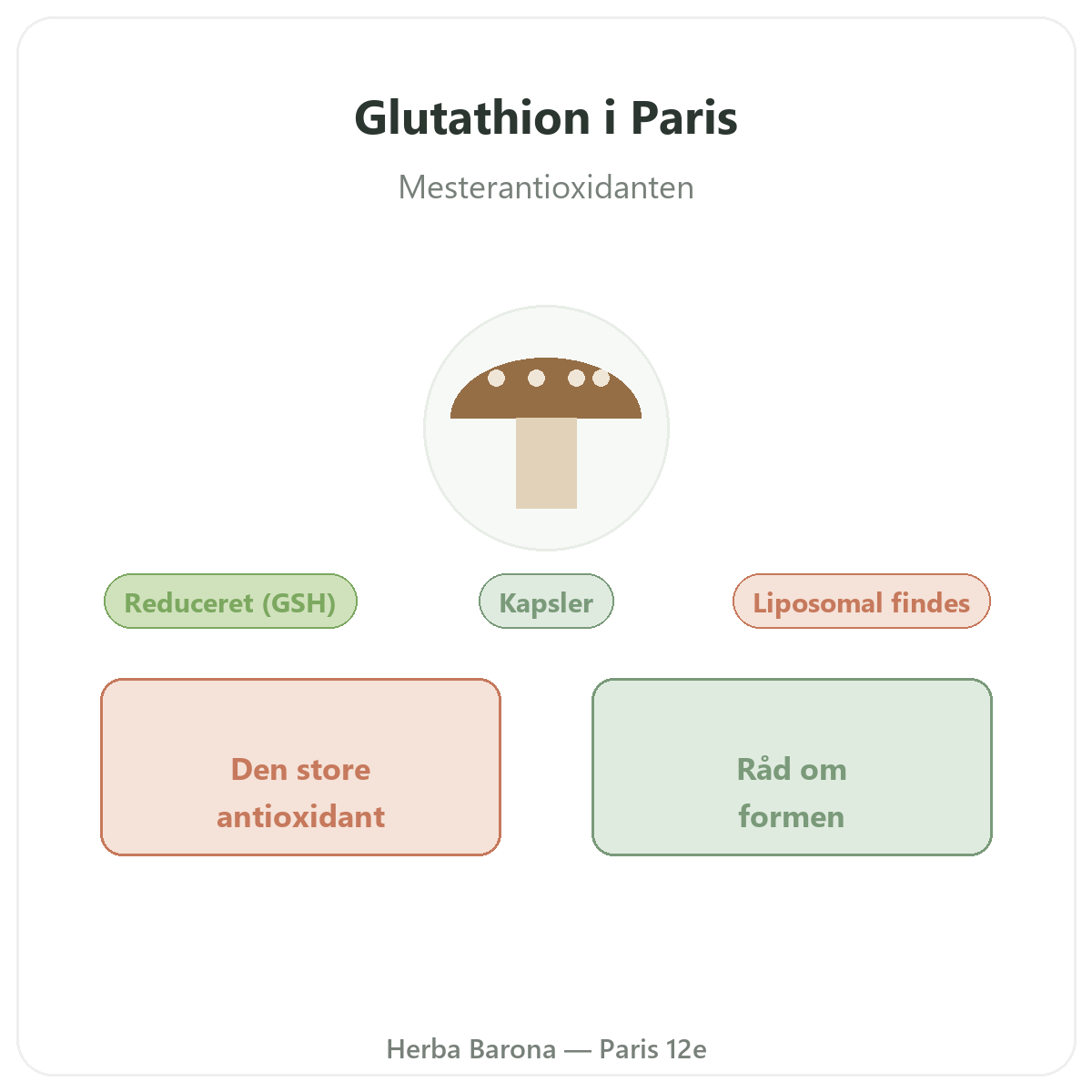 Glutathion Paris Paris - præsentation af mærket hos Herba Barona Paris 12