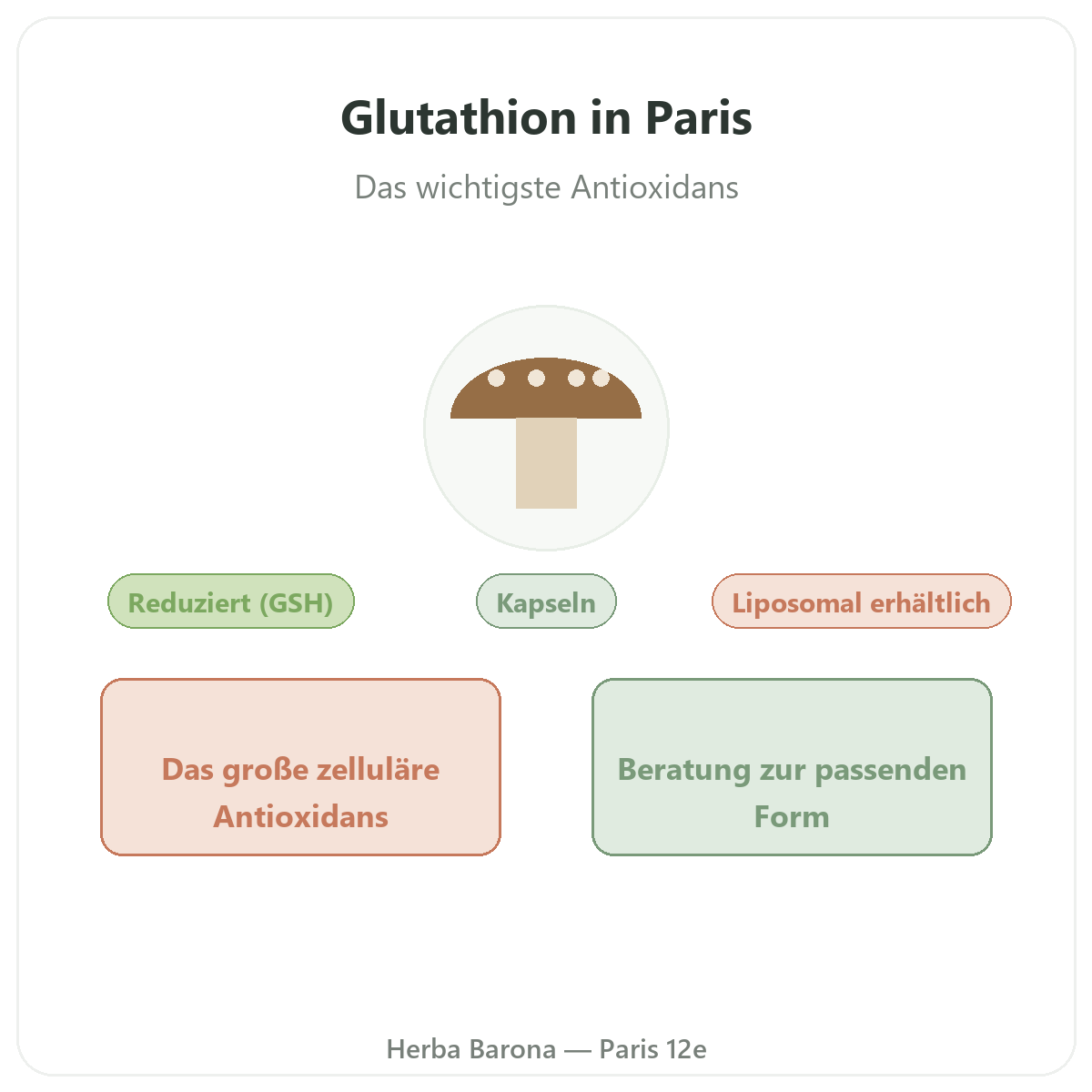 Glutathion in Kapseln Paris - Markenvorstellung bei Herba Barona Paris 12e