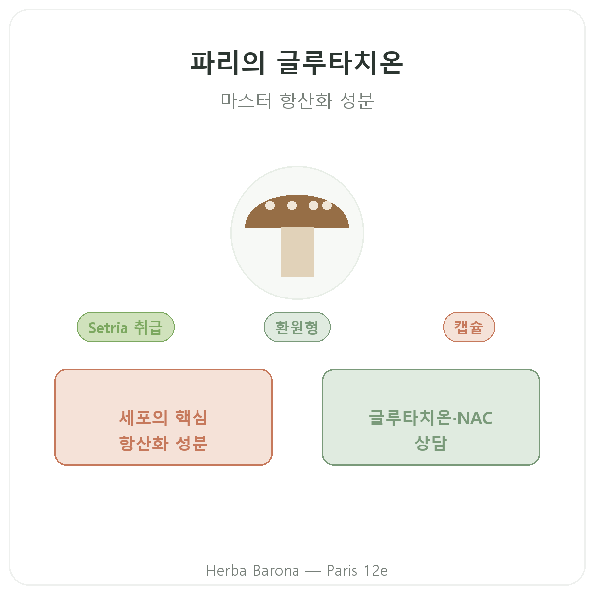 글루타치온 파리 - Herba Barona 파리 12구 브랜드 소개