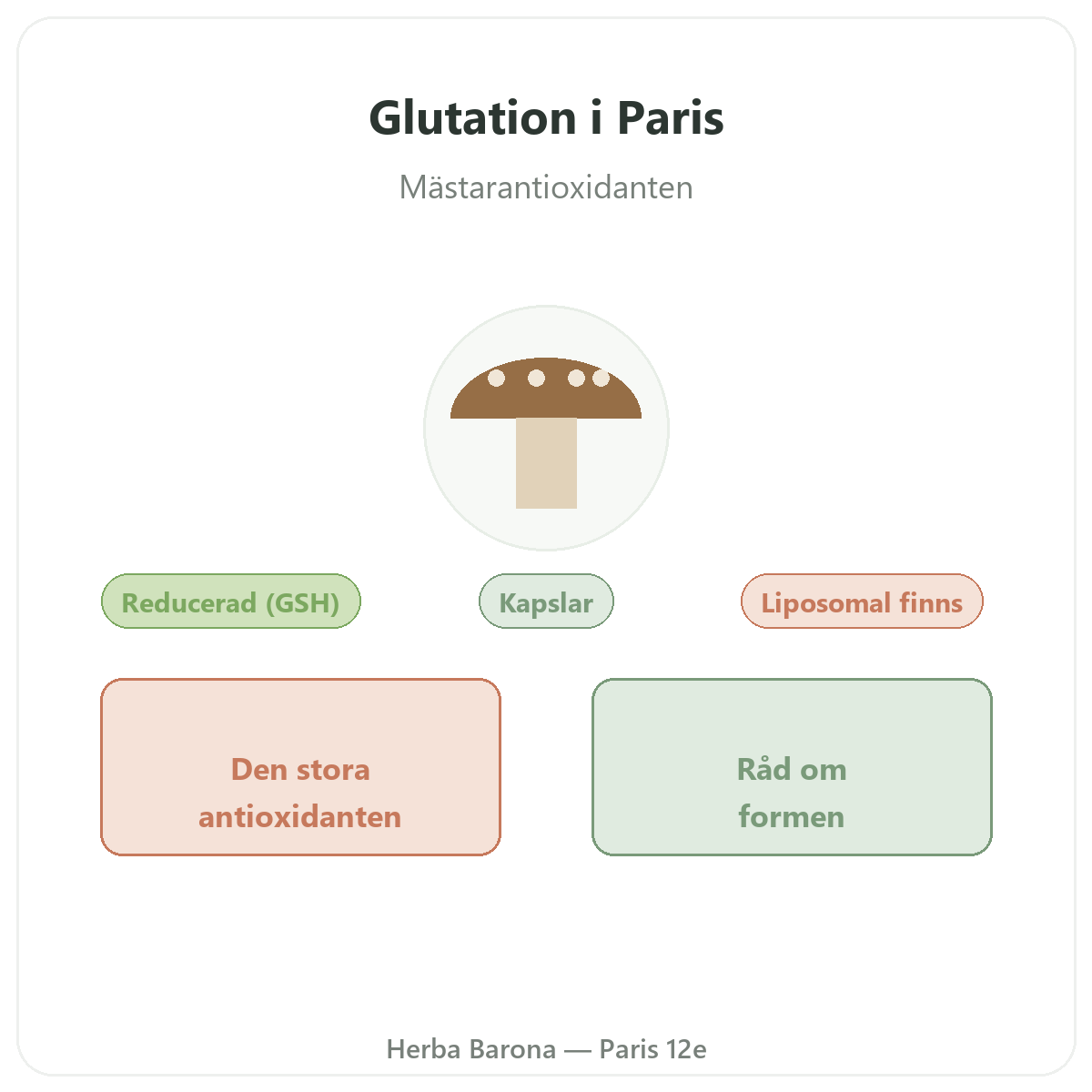 Glutation Paris - presentation av varumärket hos Herba Barona Paris 12e