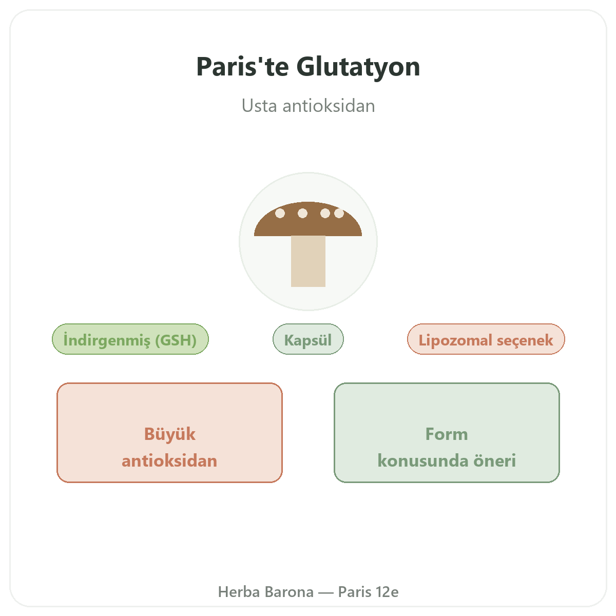 Paris’te glutatyon - Herba Barona Paris 12. bölge’de marka tanıtımı