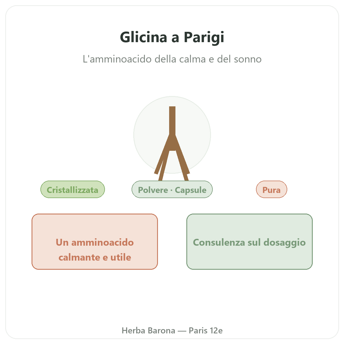 Glicina Parigi - presentazione del marchio da Herba Barona Parigi 12e