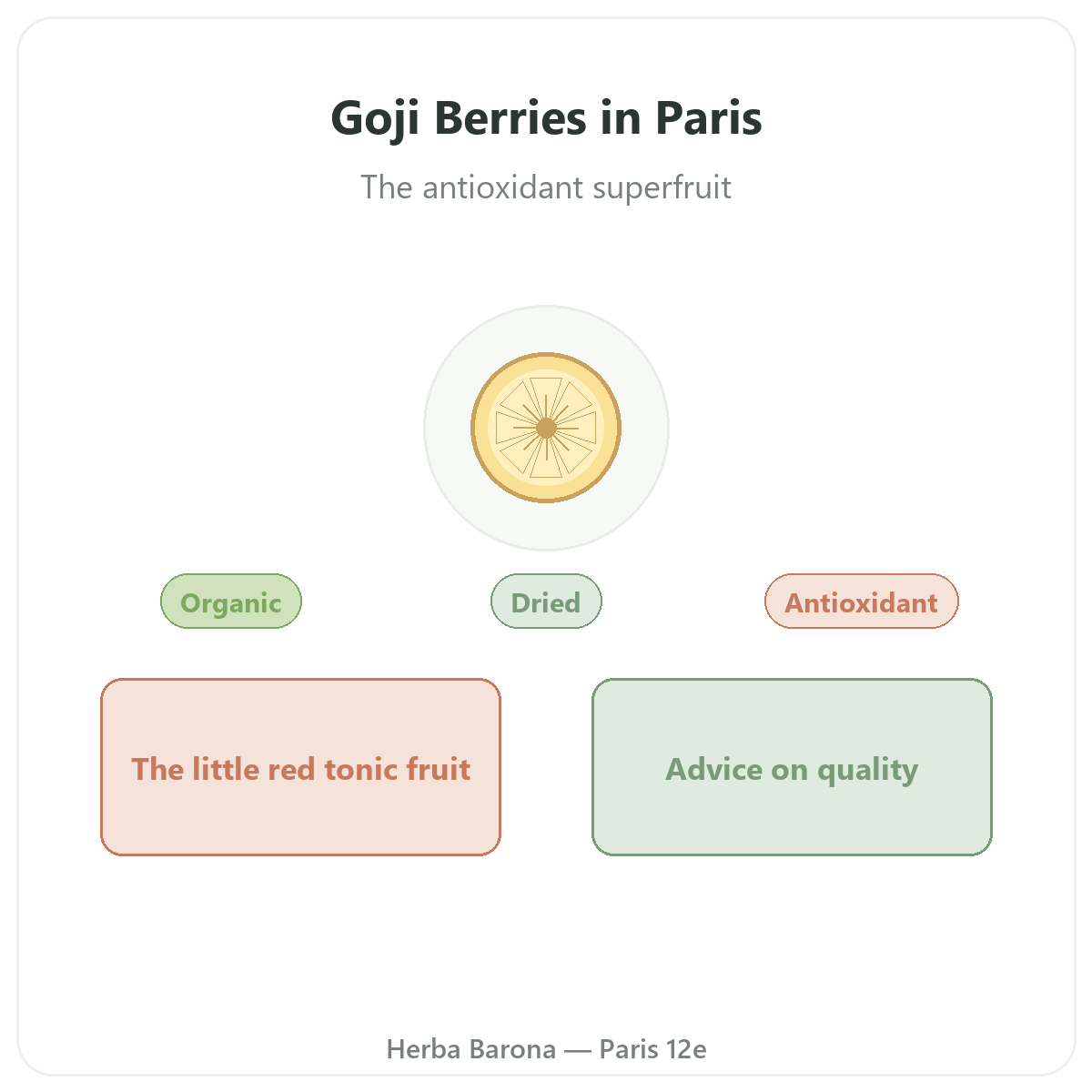 Goji Paris Paris - presentation de la marque chez Herba Barona Paris 12e