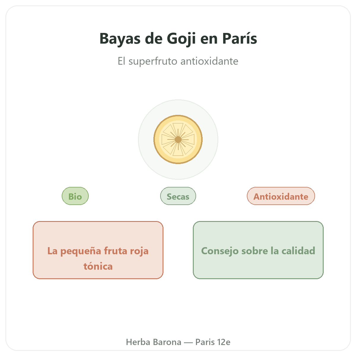 Goji París - presentación de la marca en Herba Barona París 12e