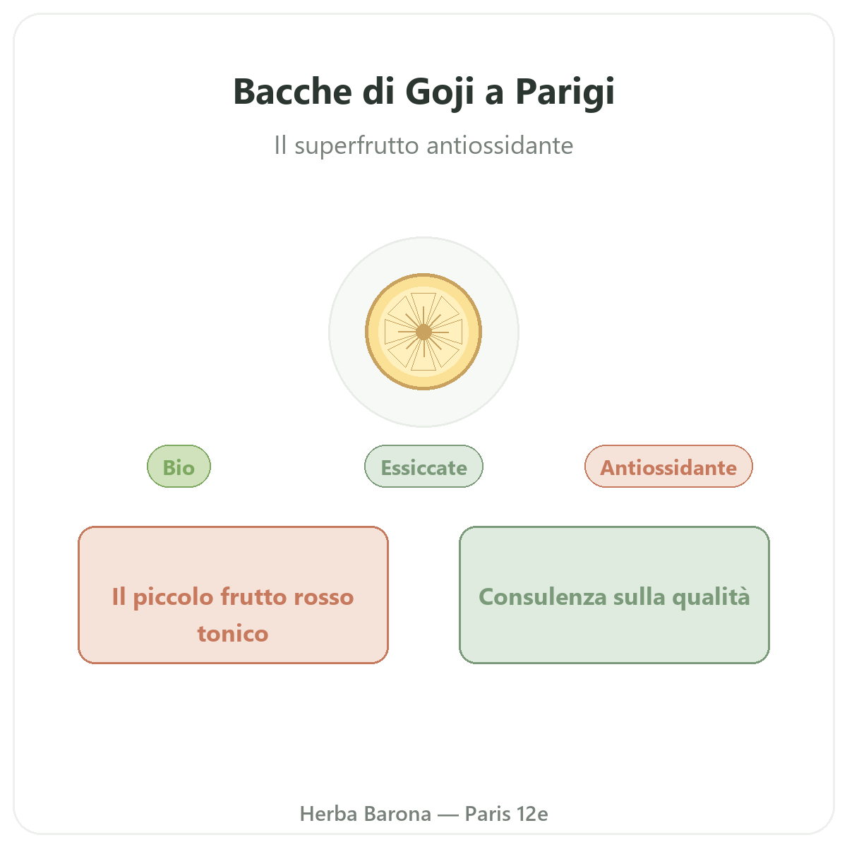 Goji Parigi Parigi - presentazione del marchio da Herba Barona Parigi 12e