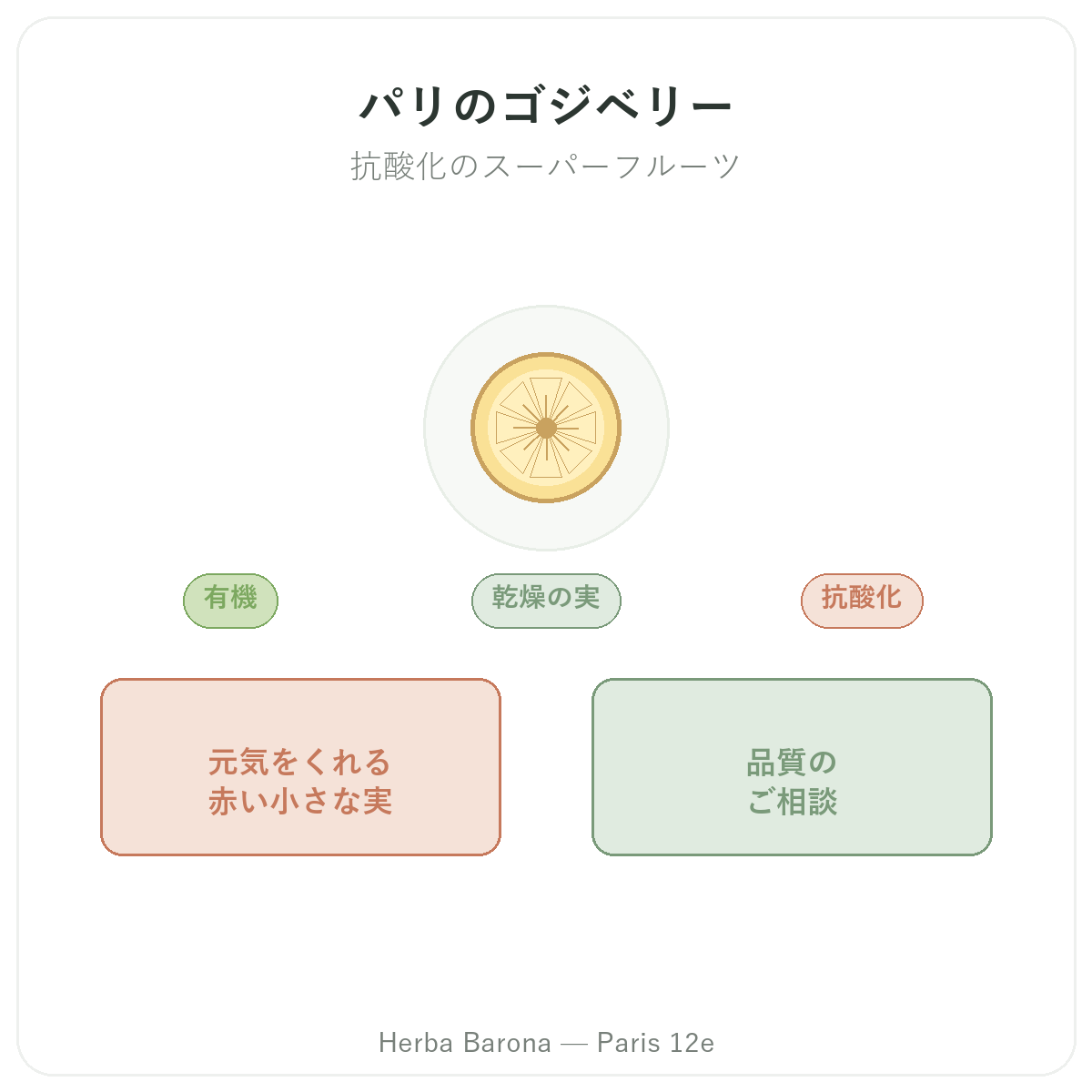 ゴジ パリ — Herba Barona パリ12区でのブランド紹介